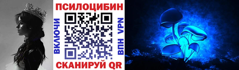 Псилоцибиновые грибы Psilocybine cubensis  Купить  Белая Холуница 