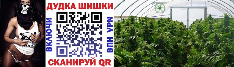 Каннабис MAZAR  Купить закладки  Белая Холуница 